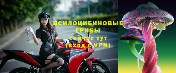 сатива Нефтекумск