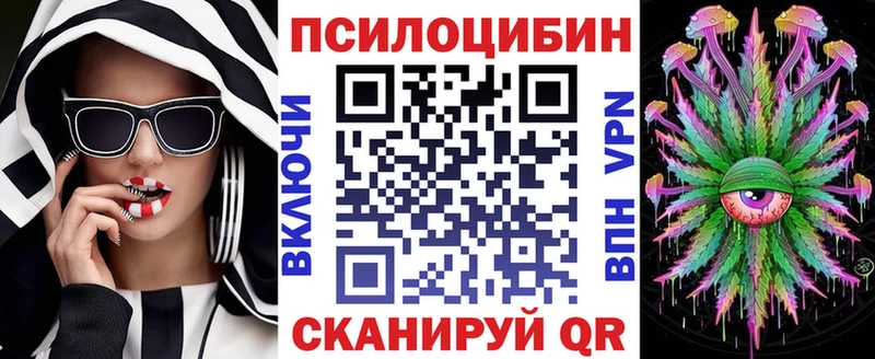 дарнет шоп  Щучье  Галлюциногенные грибы ЛСД 