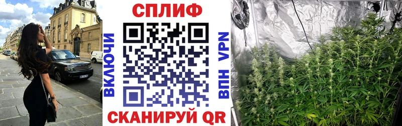 Бошки Шишки Amnesia  Щучье 